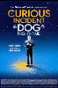 The Curious Incident of the Dog in the Night-Time Broadway Poster 